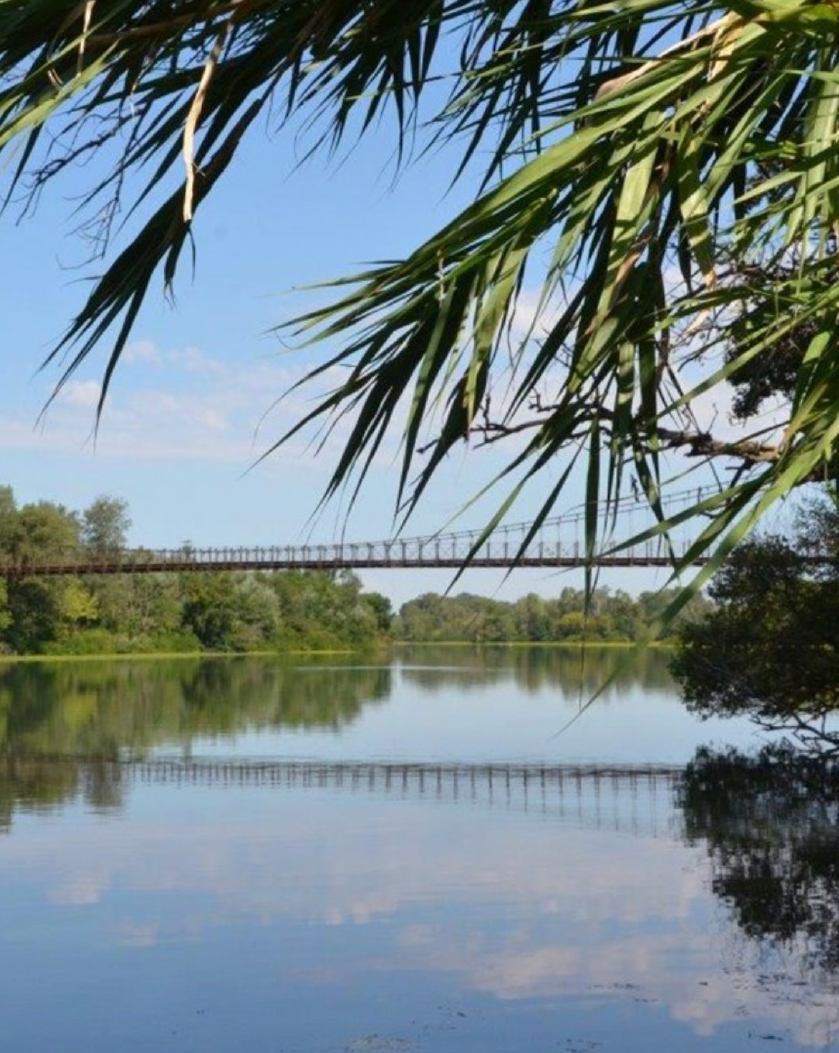 photo05